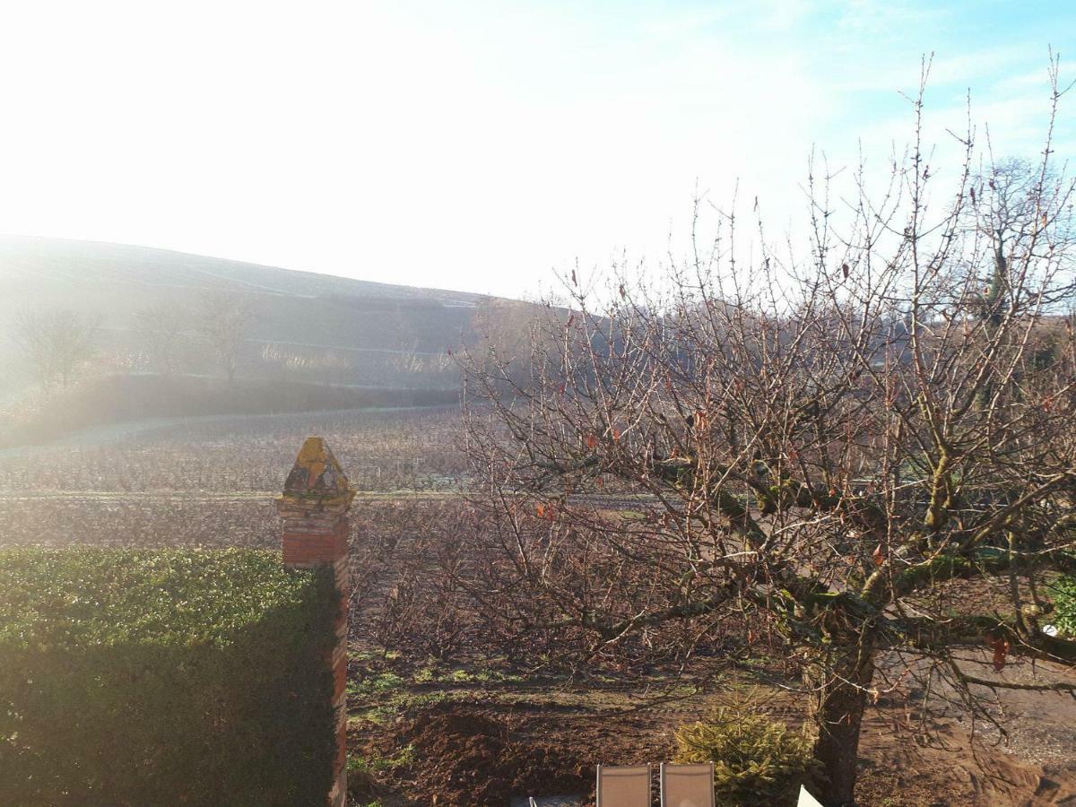 La Maison Des Vignes Charentay Экстерьер фото