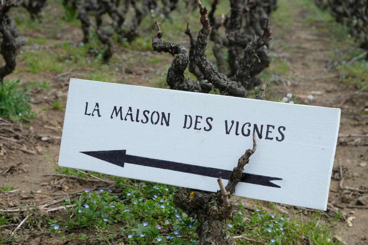 La Maison Des Vignes Charentay Экстерьер фото